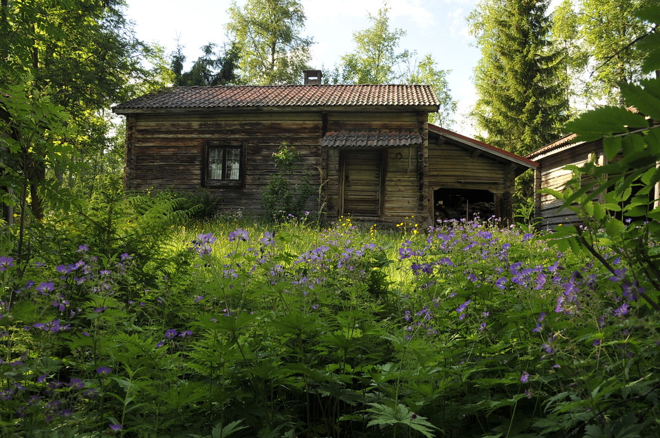 Fäbodstuga i Skallskog