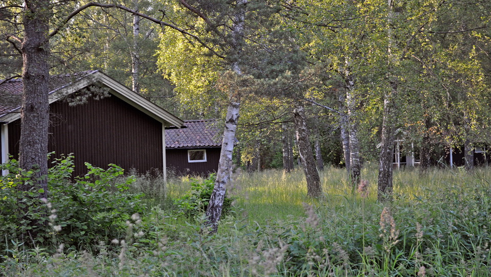 Anna Lindblad
