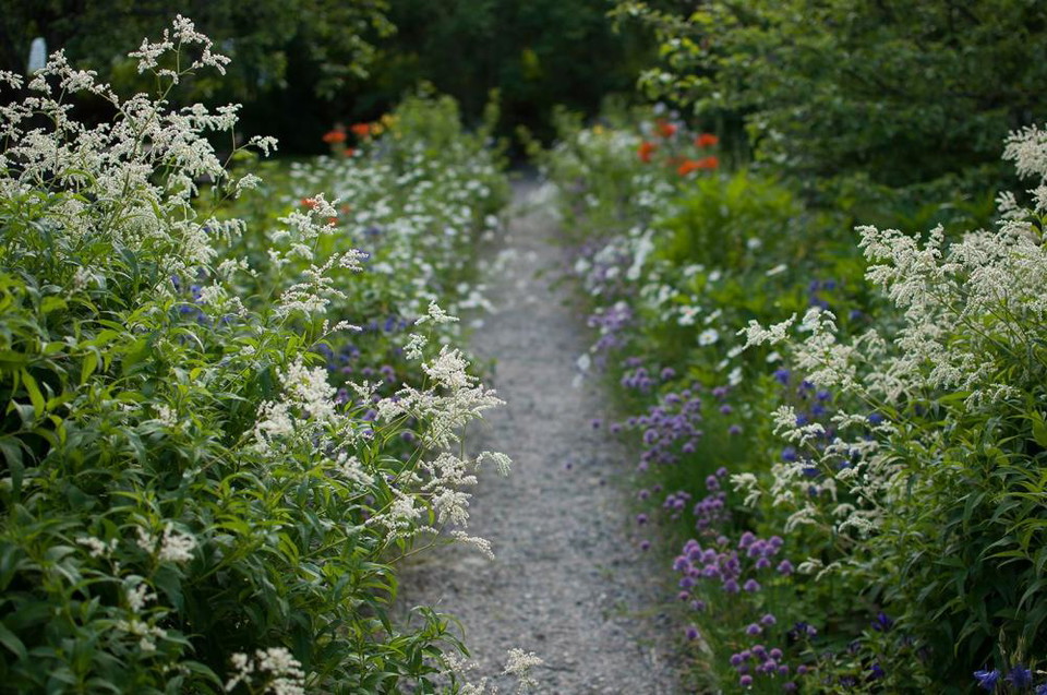 Grusgång i trädgården på hälsingegården