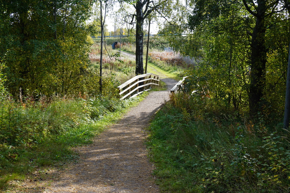 Kungsbäck motionsspår igenom skogsmiljö och öppna marker och över en bro