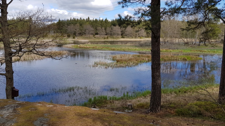 Utsikt över Västra Långängskärret från Söder. Foto Lidingö stad