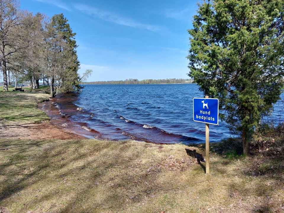 Markerad hundbadplats