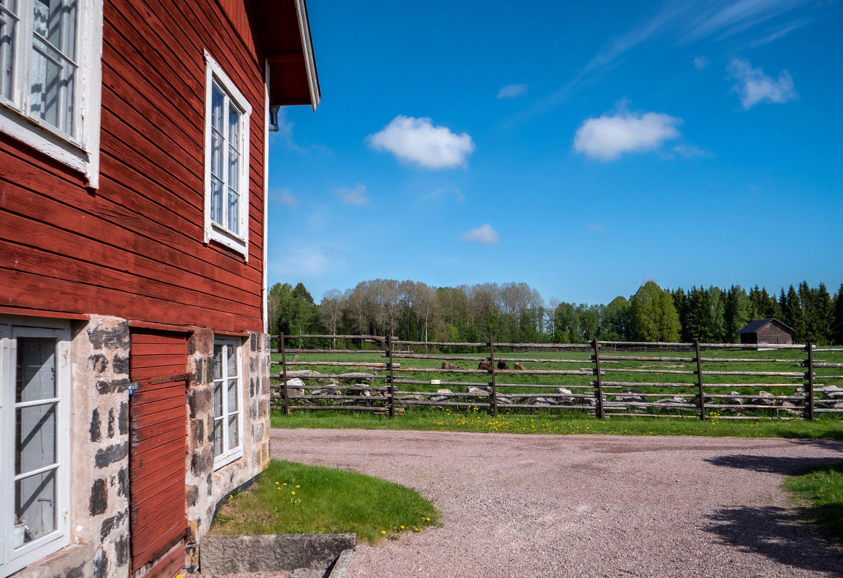Avesta visentpark.