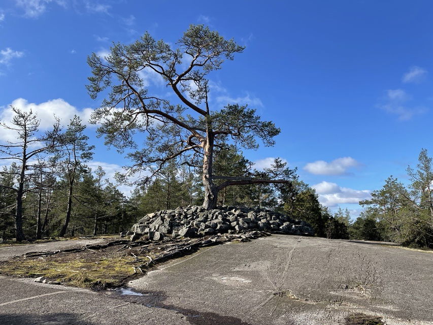 Löttingekullen i Täby. 