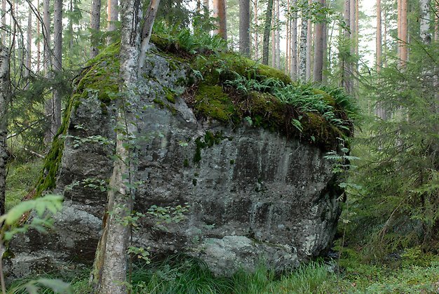 Testeboskogens naturreservat