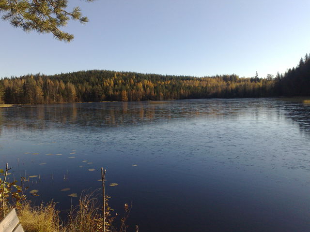Olanderstjärn