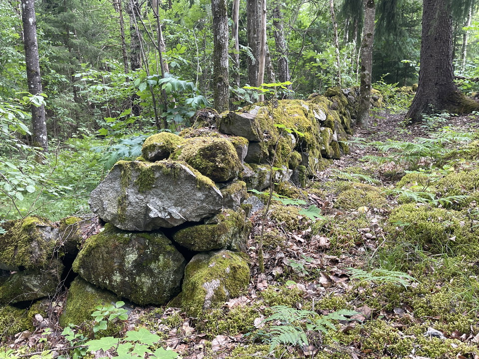 Mossig stenmur.