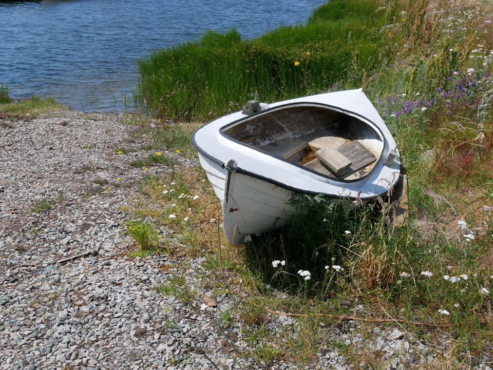 Ungskär,