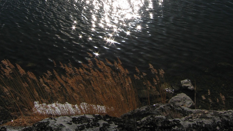 Vass vid Lilla Värtan. Foto Lidingö stad