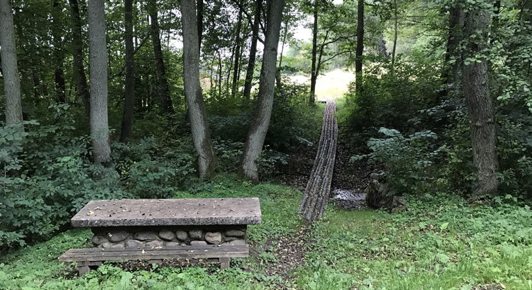 I anslutning till parkeringsfickan finns en rastplats och
spänger genom den blöta alskogen till rikkärret.