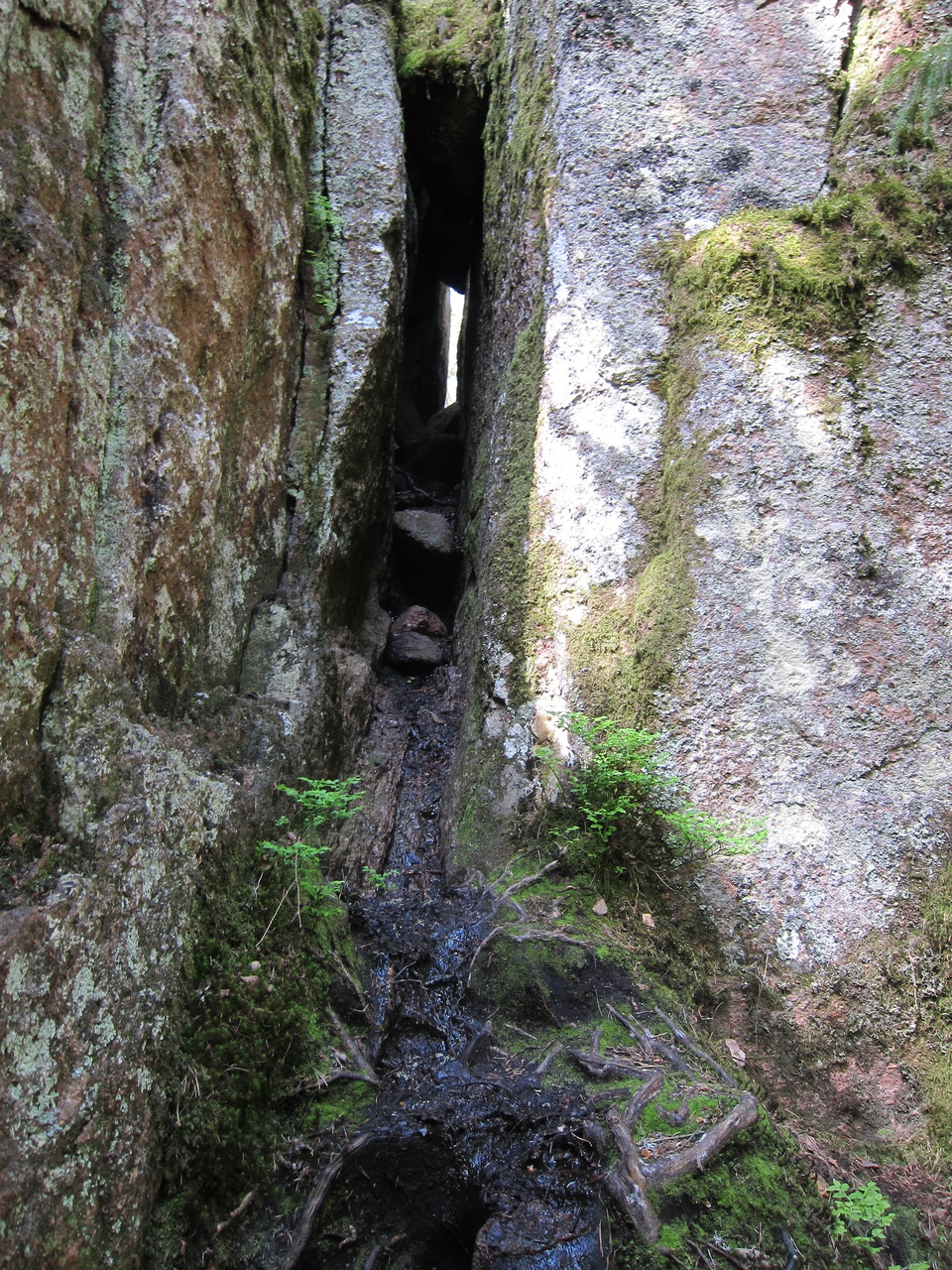 Den smala klippskrevan, Trånggatan.