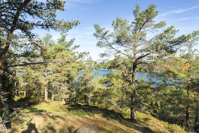 Utsiktsplats väster om idrottsplatsen