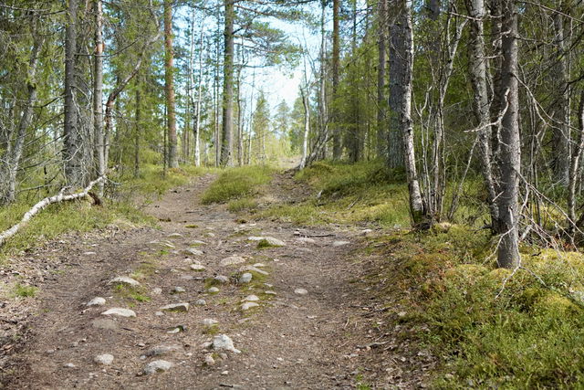 Korta Lassaspåret