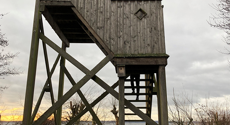 Fågeltorn vid Ringsjön.