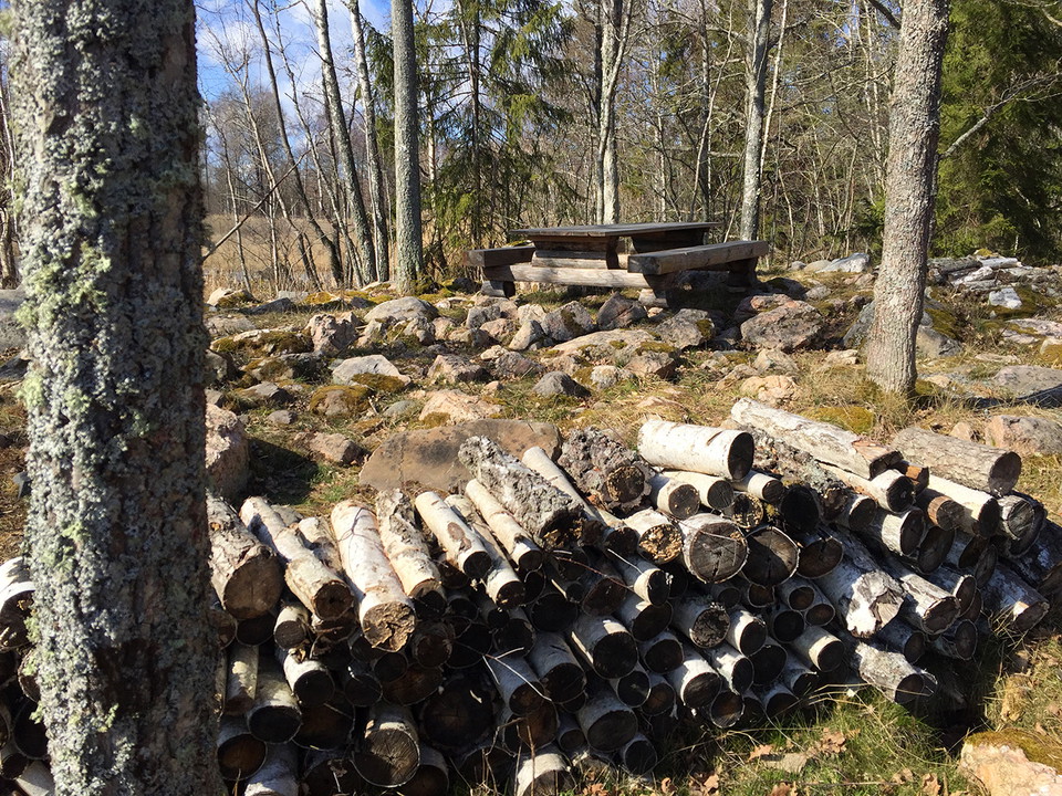Träbord, träbänkar, ved och huggkubb.