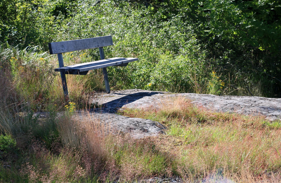 Bänk på klipphäll med gräs och buskar runtomkring.