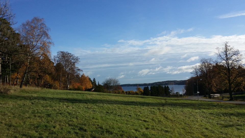 Hästhage på östra Elfvik.