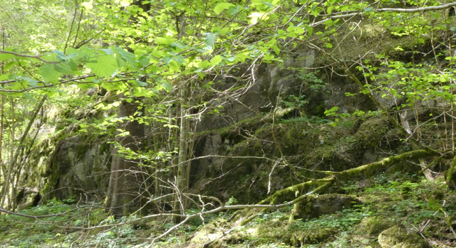 Fjällbäcksbranten, Naturreservat