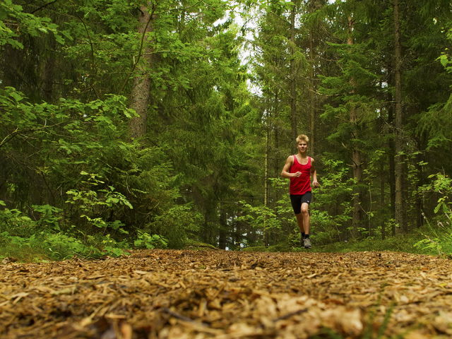 Bankekinds elljusspår (2,5 km)