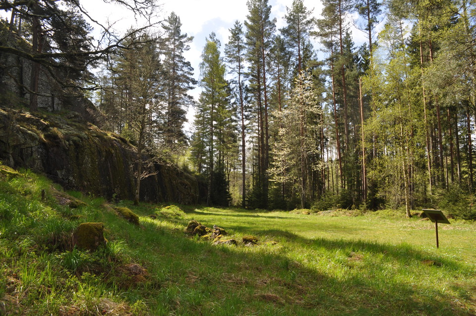 Fornborg i Blaxhult