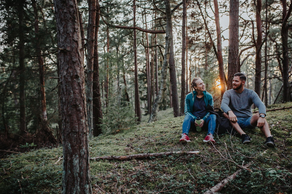 Plocka bär och svamp