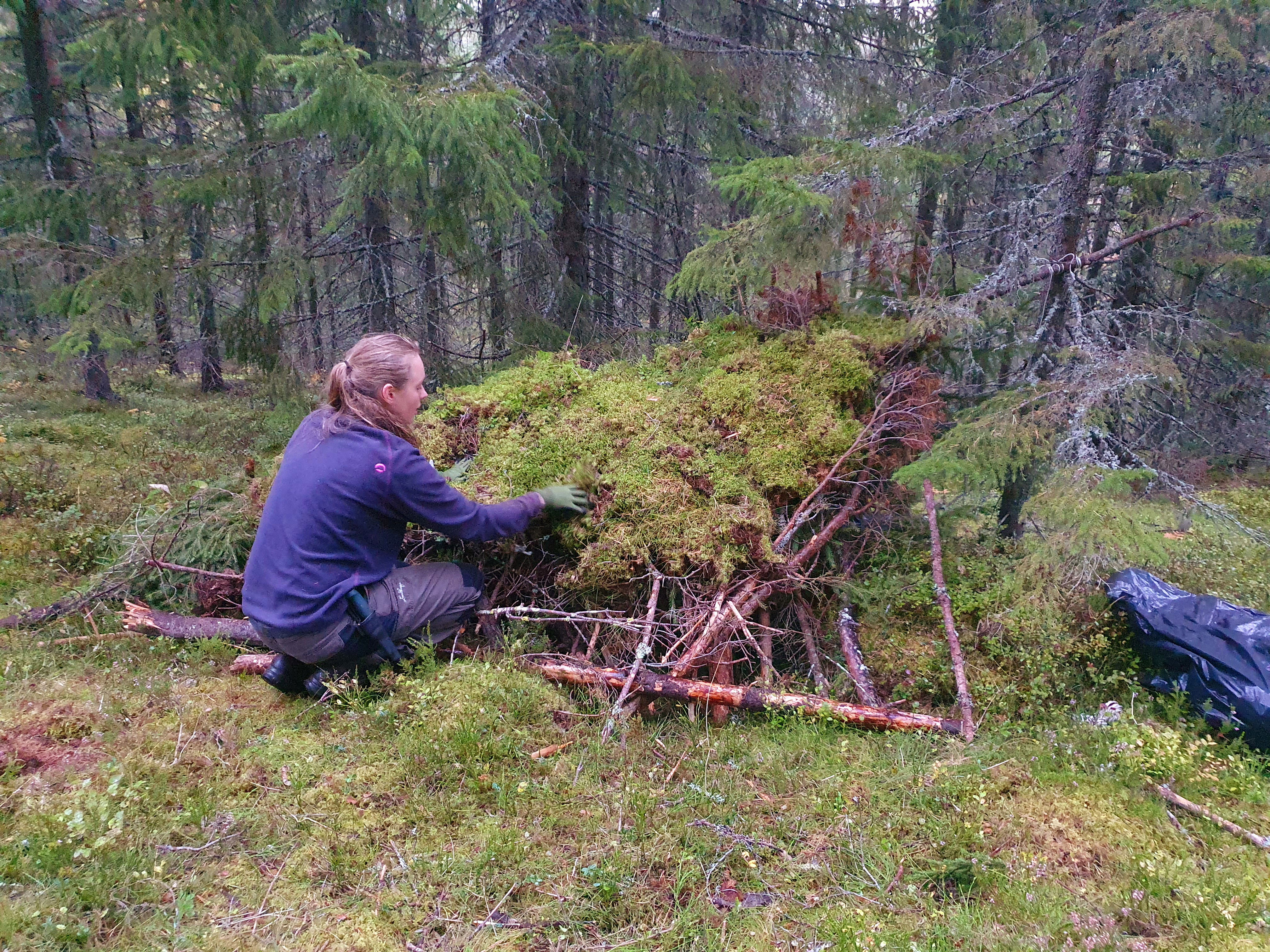 Överlevnad i skogsmiljö