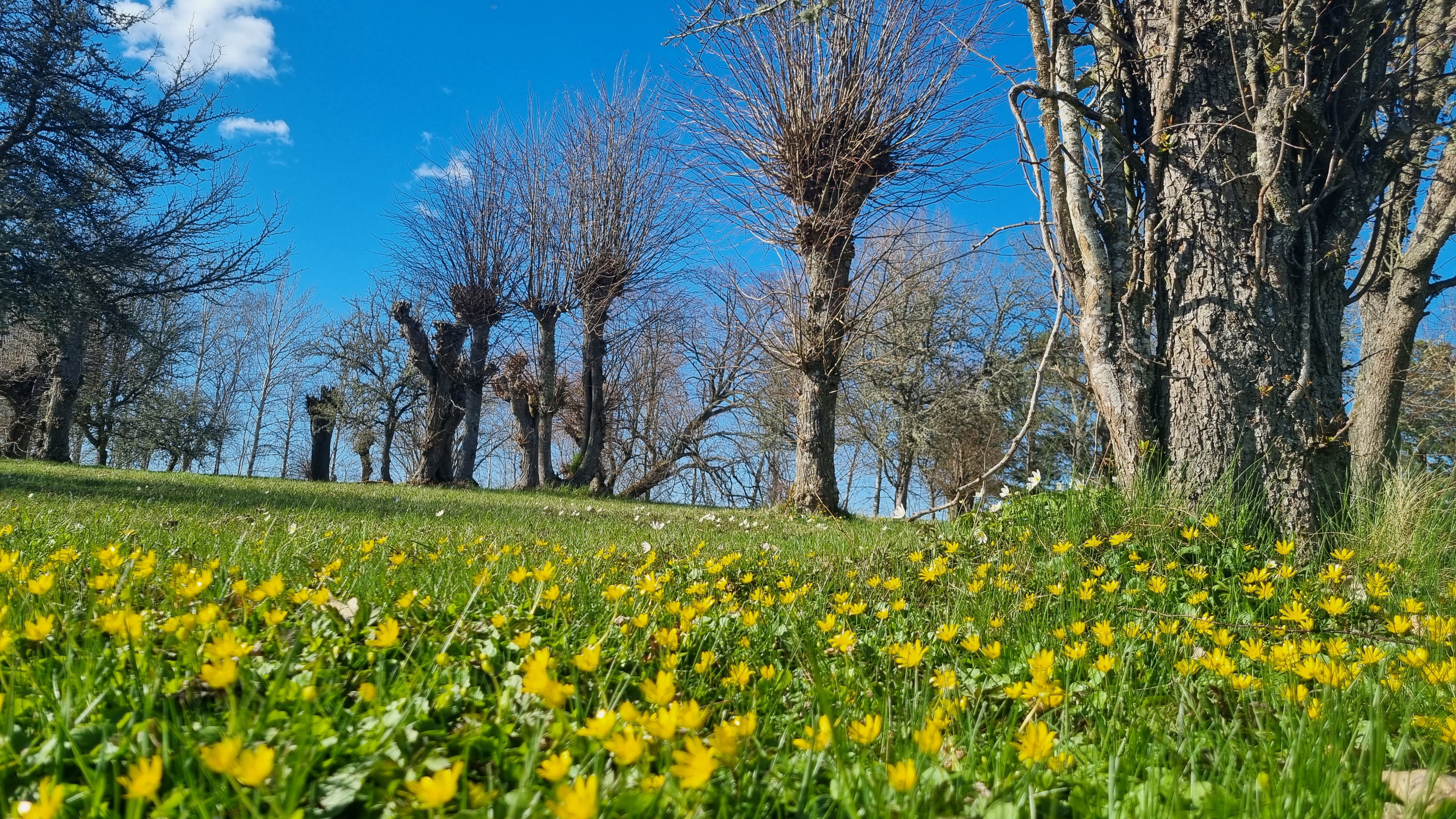Upplev Östergötlands omväxlande natur och rika kulturmiljöer.  Över 150 mil vandringsled väntar på dig!