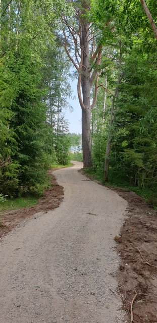 Gångväg till stranden