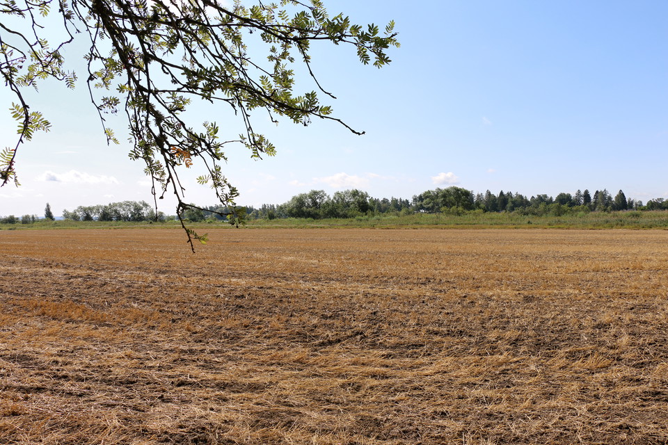 Utsikt från Lindöberget mot den del av naturreservatet som ligger vid Mälarens strand.