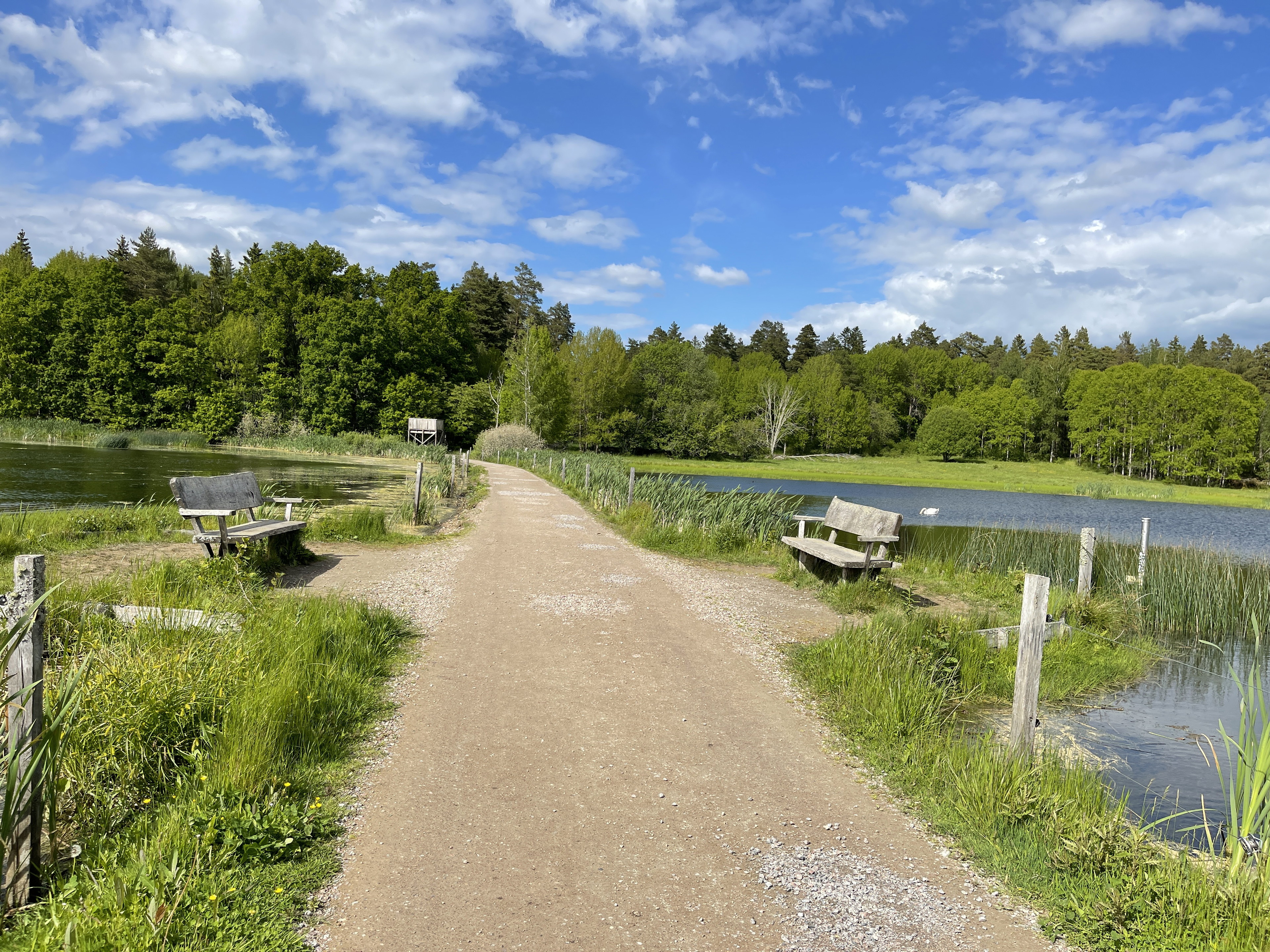 Grusvägen mitt i Ekängssjön i Ullstämma. 