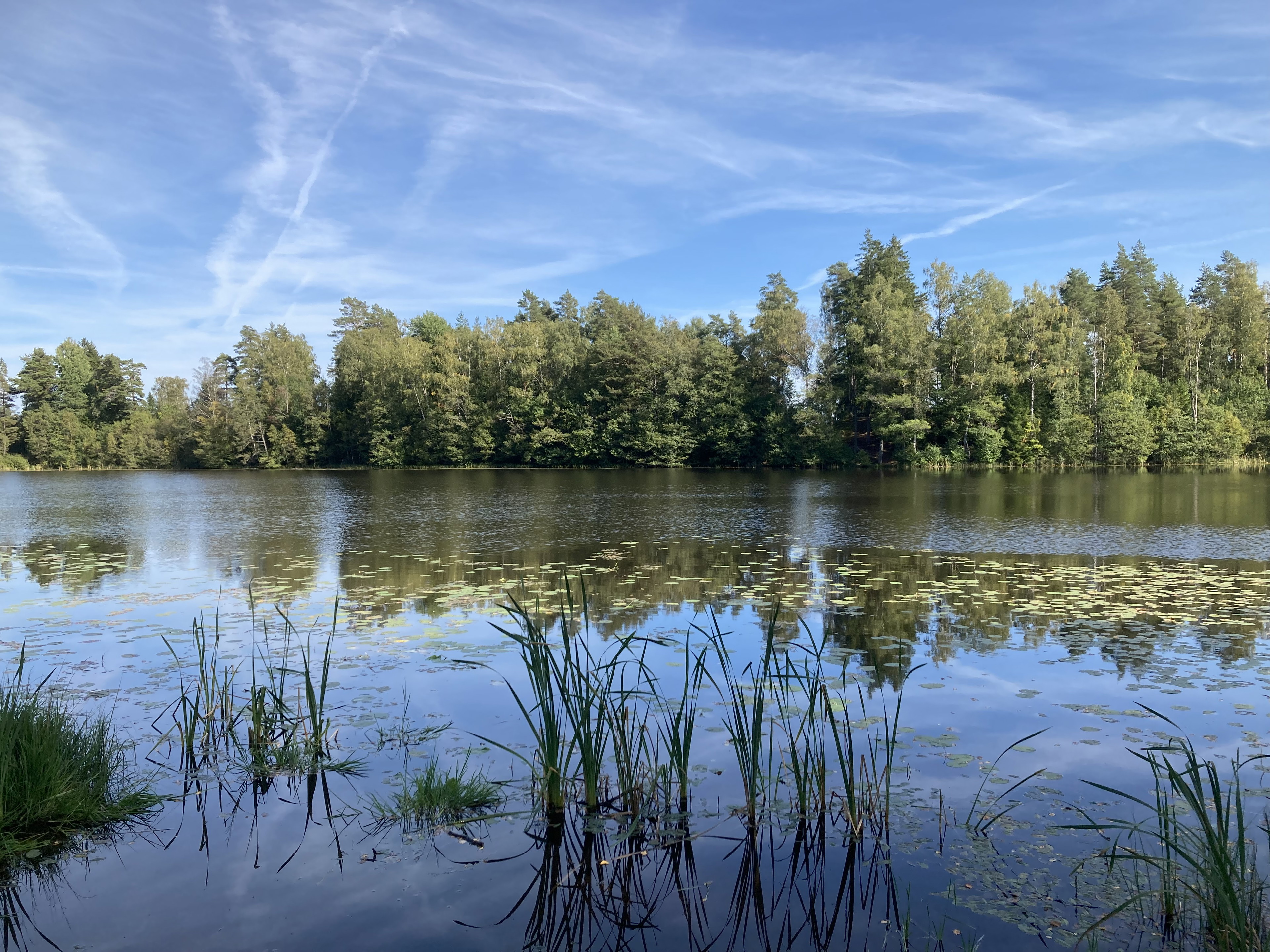 Gunnen Runt: Promenad och MTB