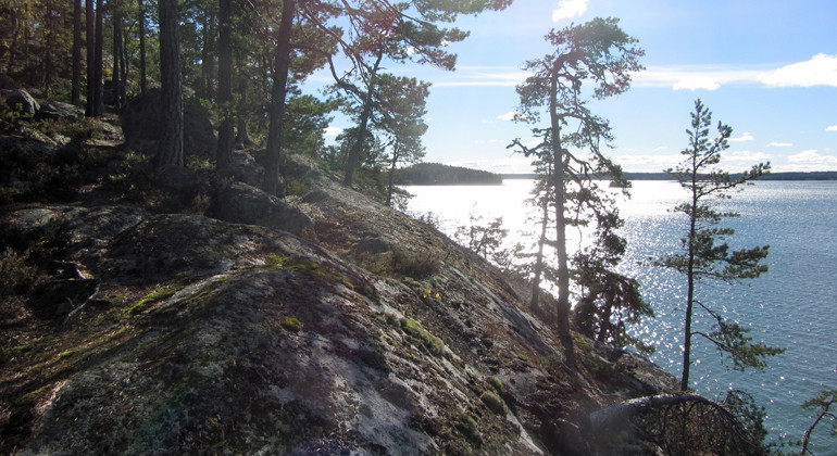 Solglitter över havet vid Lingarö.