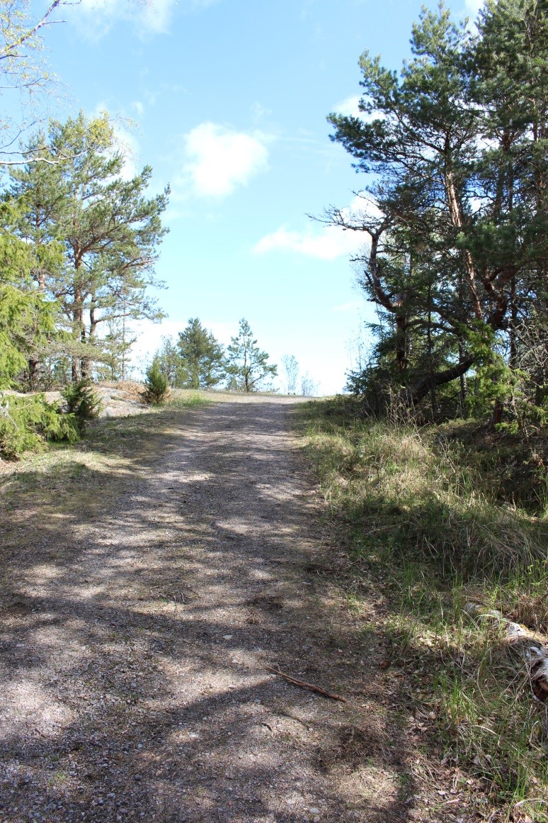 En bred, kuperad grusväg med skog på båda sidorna.
