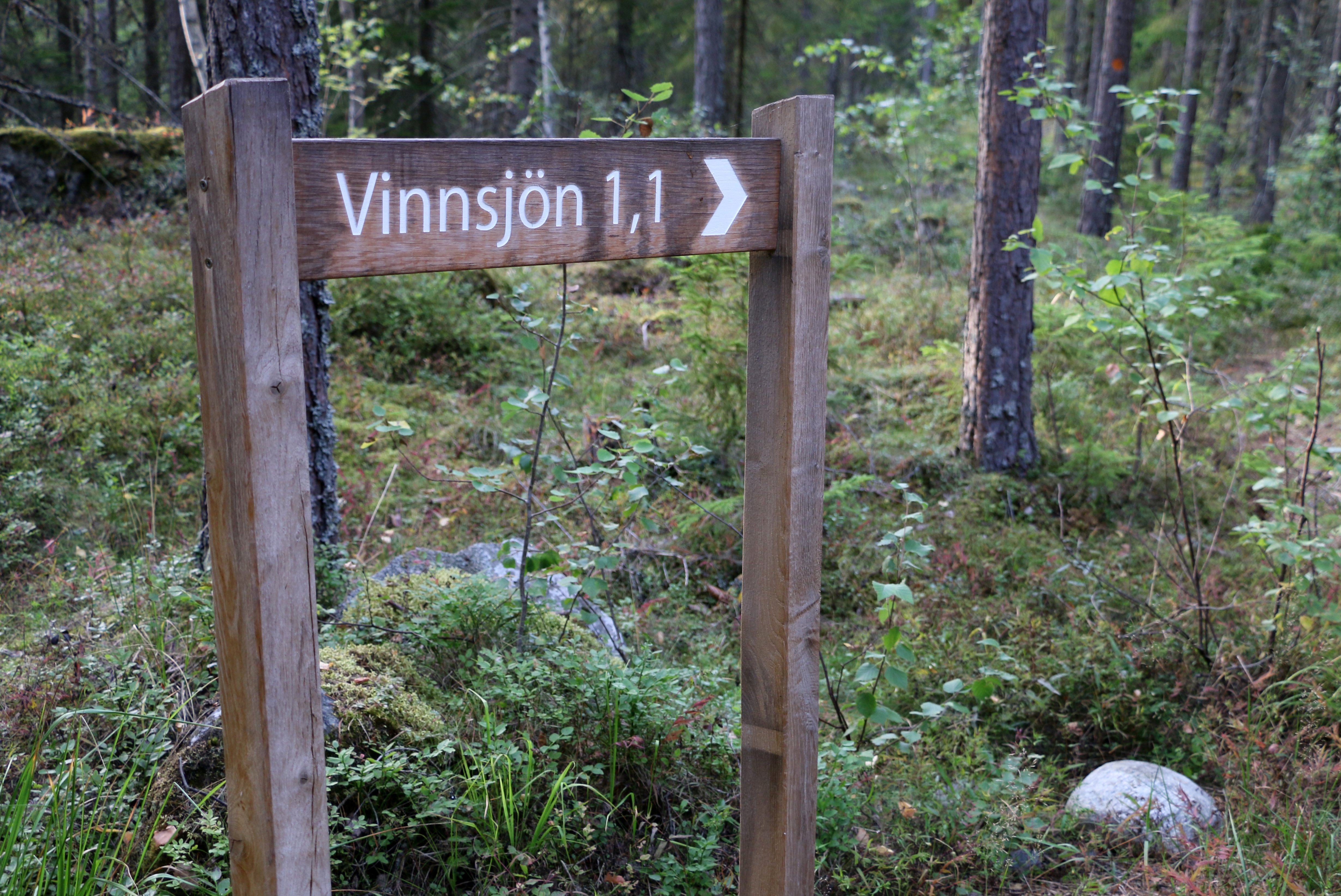 Skylt med väghänvisning Vinnsjön 1,1 kilometer.