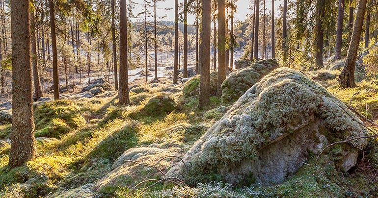 Sundsjömarken.