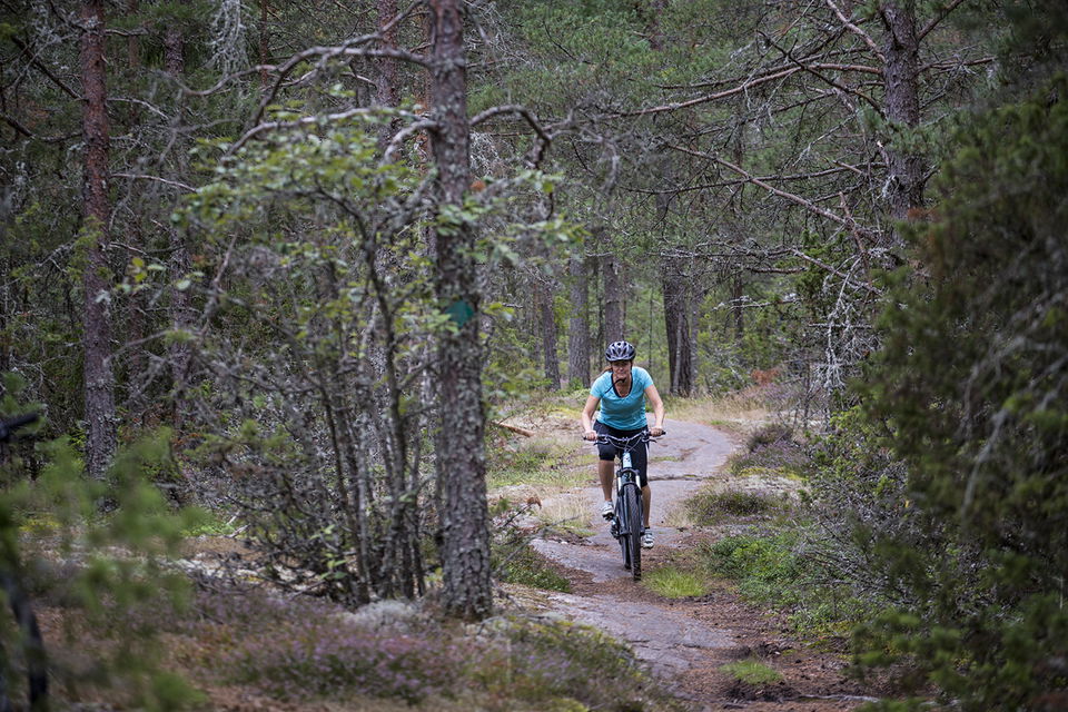 MTB-cykling i skogen