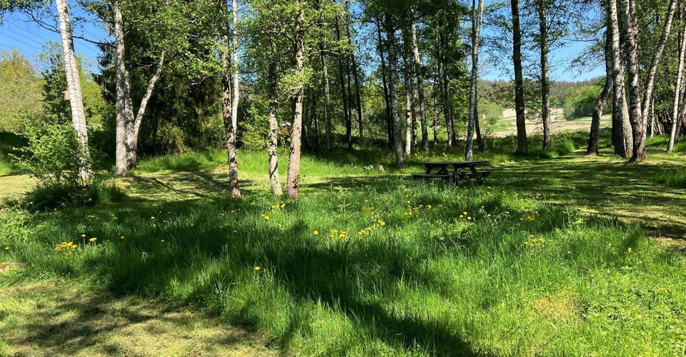 Valdemarsvik banvallen grillplats, bänkbord. Björkar och gräsyta.