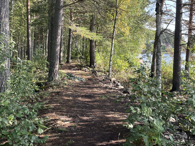 Källviksskogen