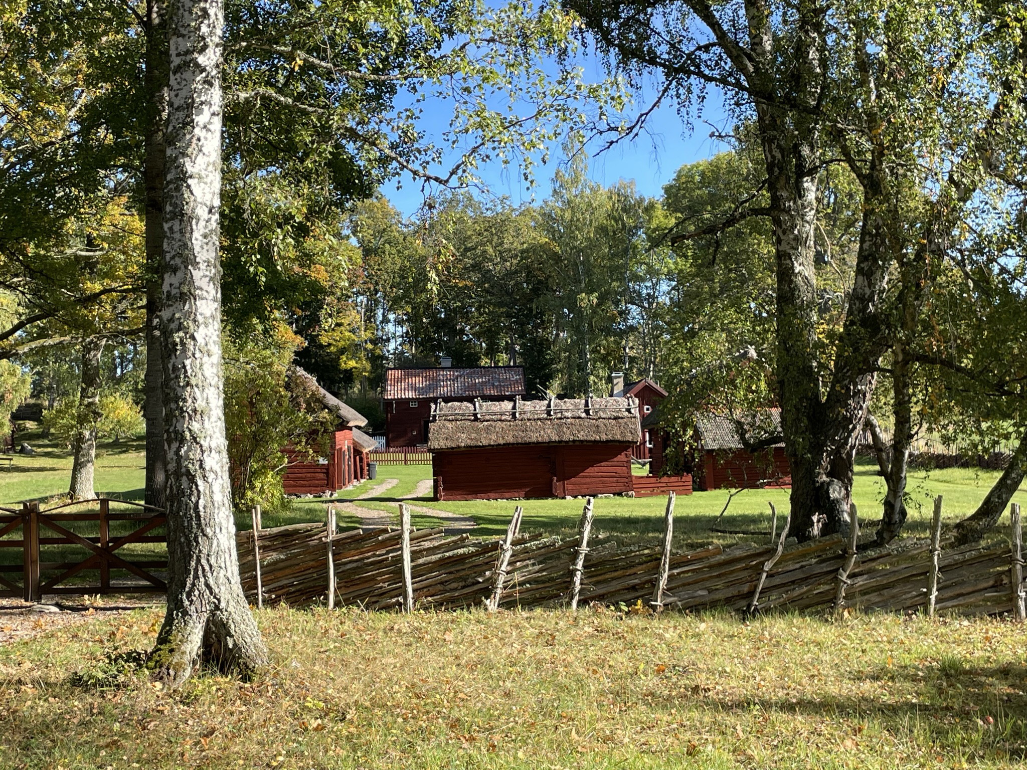 Gammal gårdsmiljö med röda byggnader bakom gärdsgård