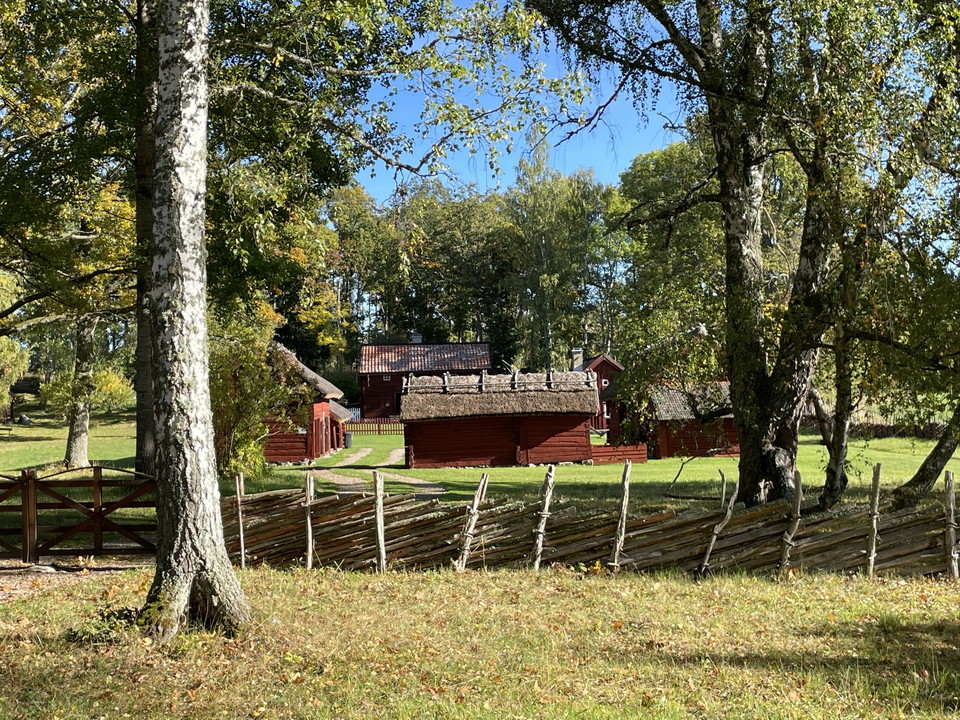 Gammal gårdsmiljö med röda byggnader bakom gärdsgård
