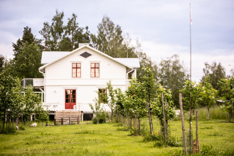Mitt Musteri i Borgsjö