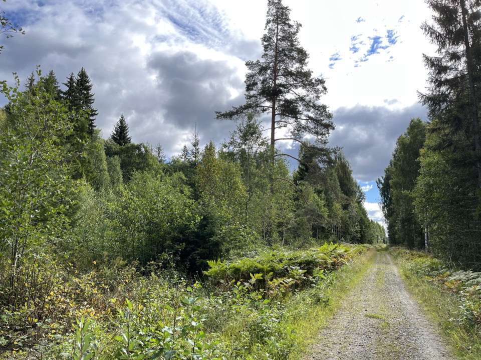 Längs med Nybergsbanan