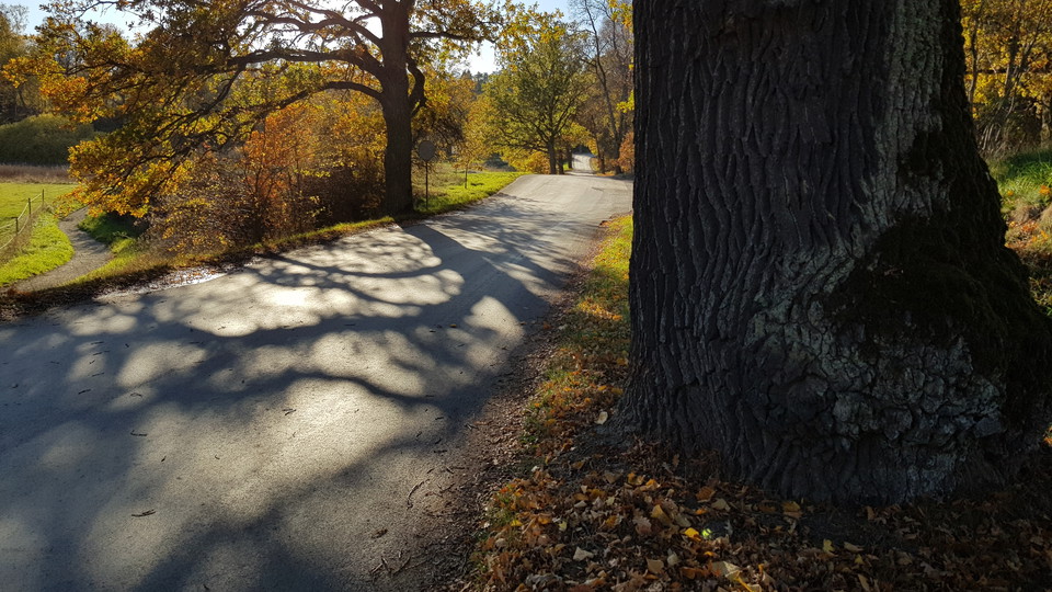 Ekallé utmed Ekholmsnäsvägen. Foto Lidingö stad