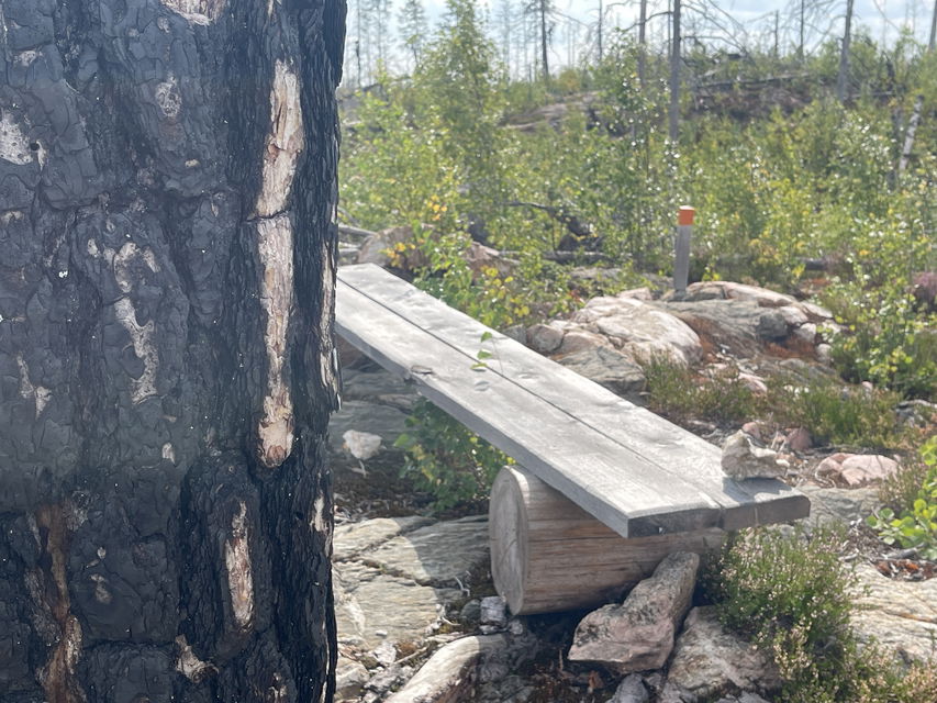 Enkel bänk på en höjd.