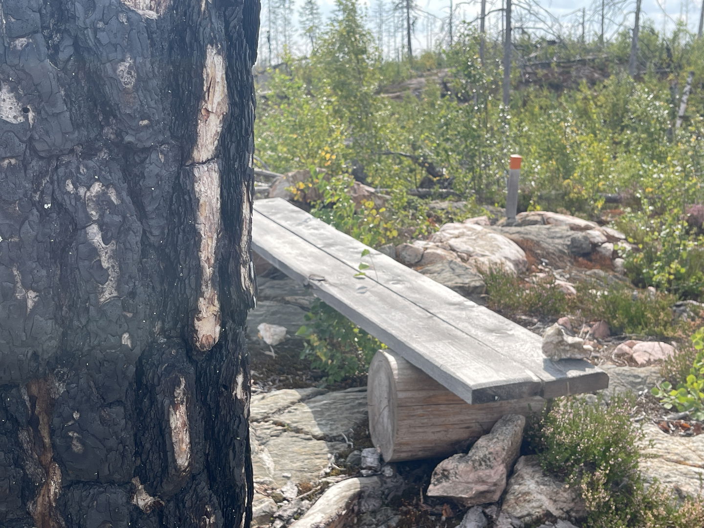 Enkel bänk på en höjd.