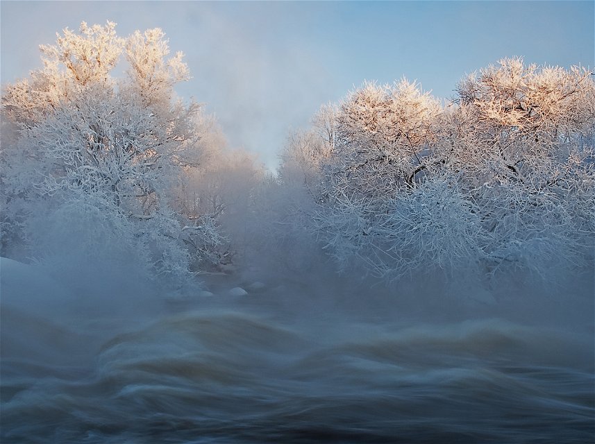 Forsande vatten i ett vinterlandskap med snö på träden.