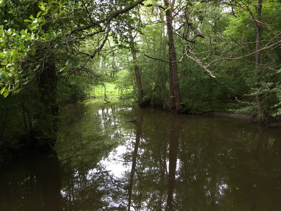 En å rinner igenom en lummig dal.