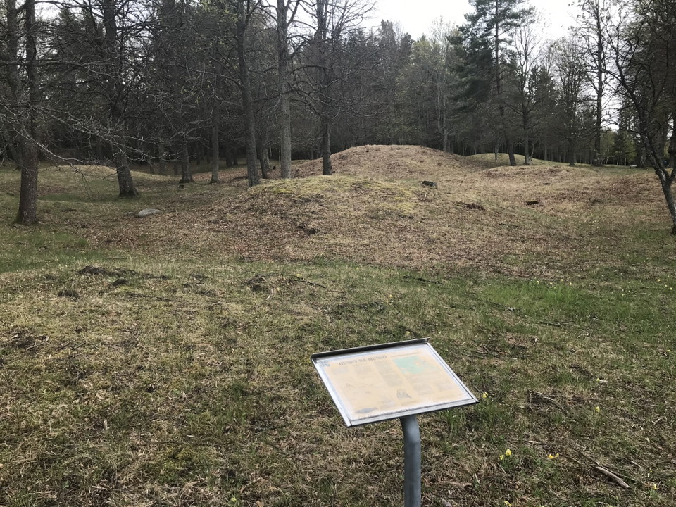 Fornlämningar i reservatets norra del. 