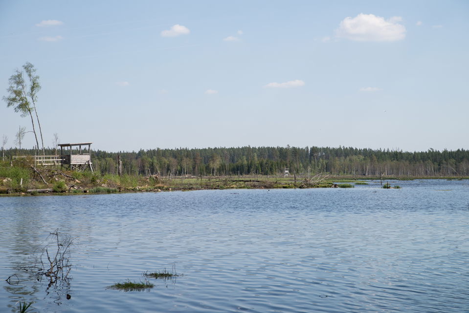 Fotograf: Tobias Ivarsson