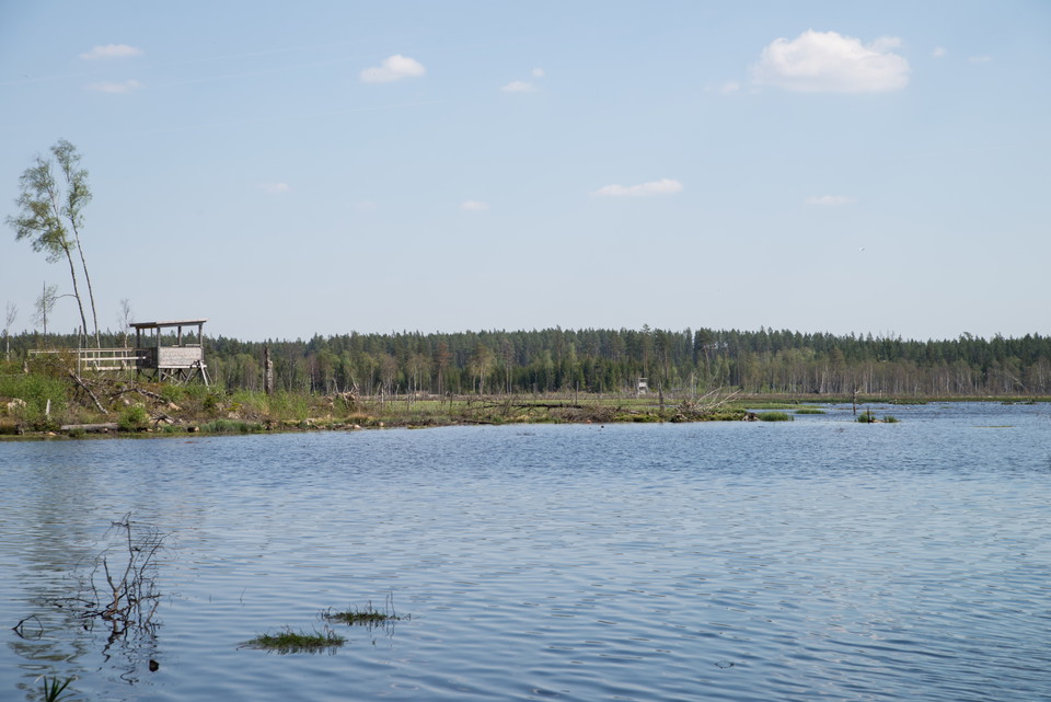 Fotograf: Tobias Ivarsson